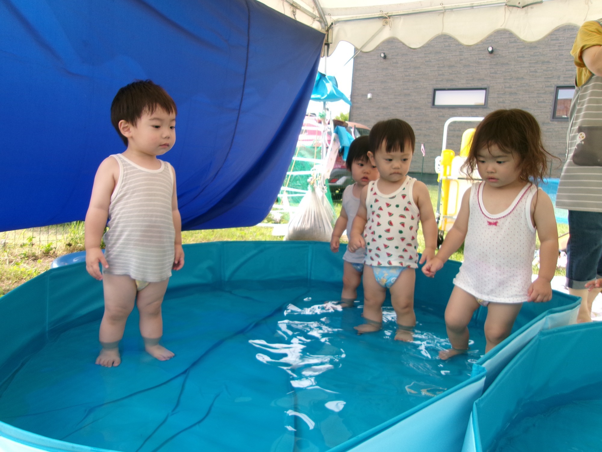 写真：保育の風景