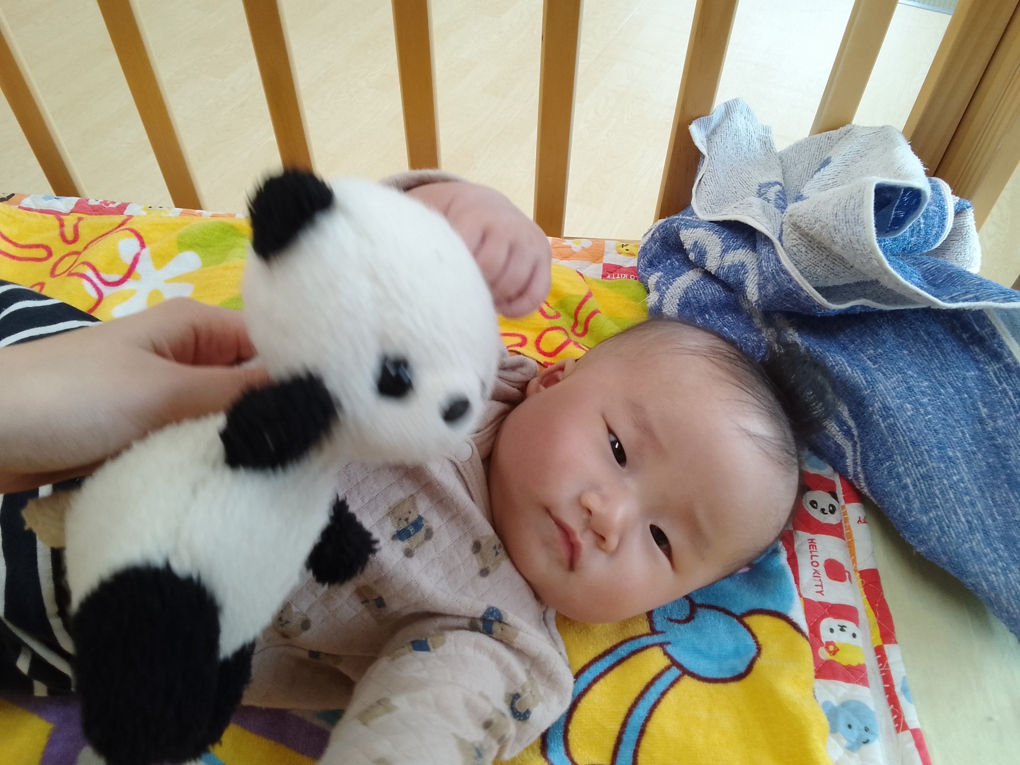 2023.10月 園庭遊び