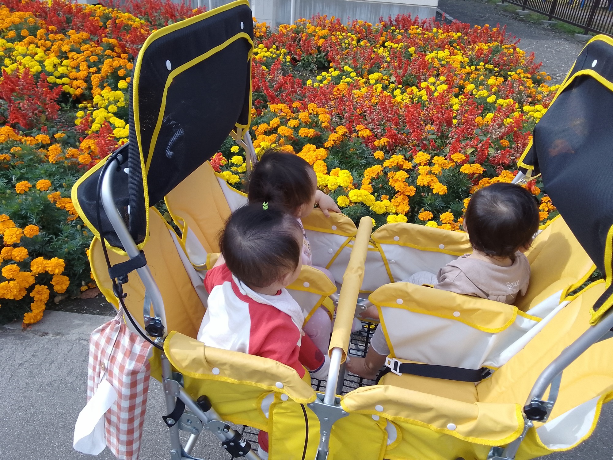 2023.10月 園庭遊び